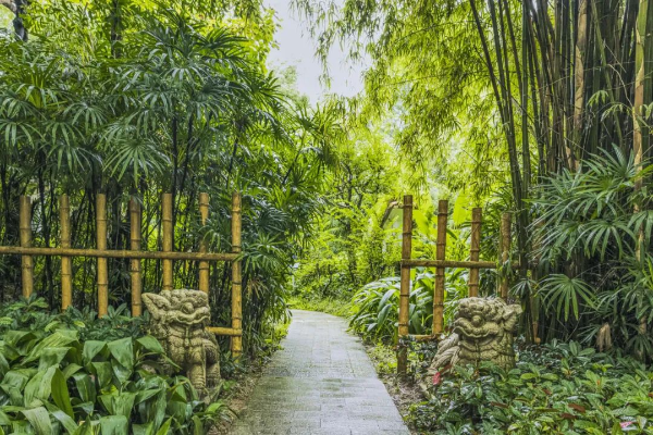 广州兰圃