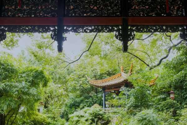 广州兰圃
