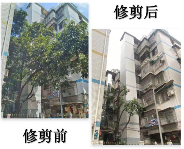 已编辑图片